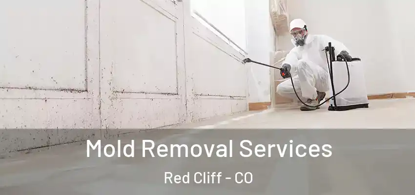 Mold Removal Services Red Cliff - CO