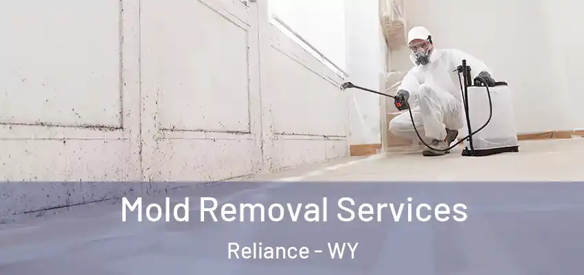  Mold Removal Services Reliance - WY