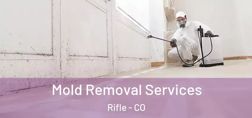 Mold Removal Services Rifle - CO