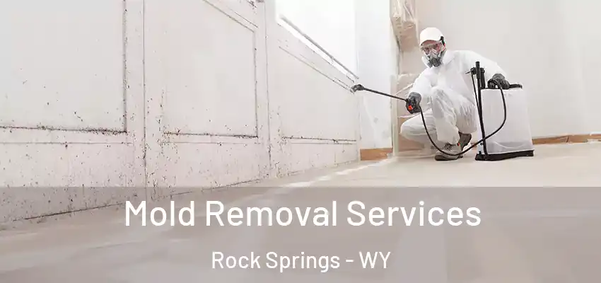  Mold Removal Services Rock Springs - WY