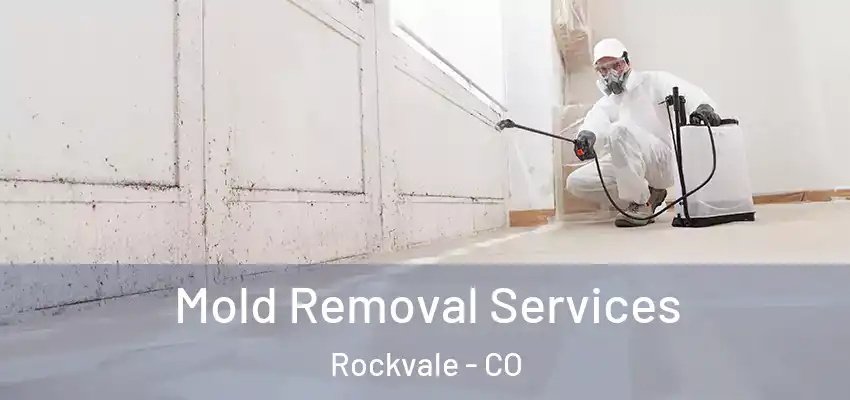 Mold Removal Services Rockvale - CO