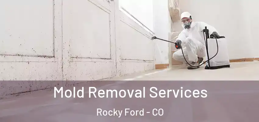  Mold Removal Services Rocky Ford - CO