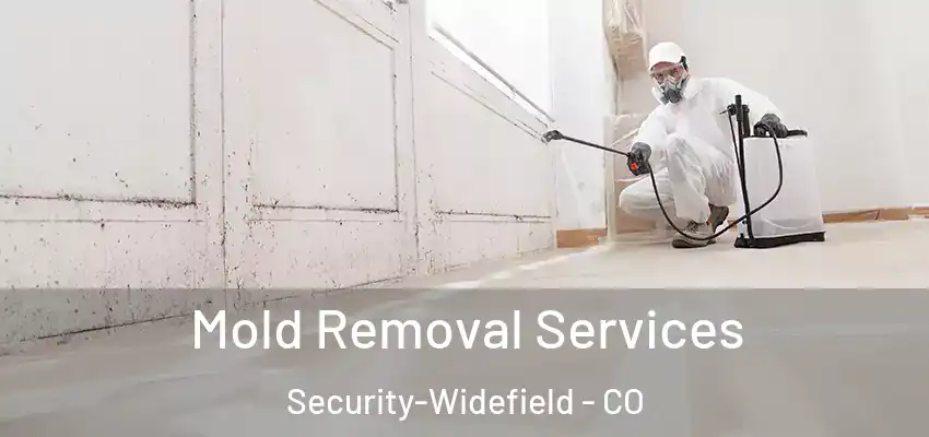 Mold Removal Services Security-Widefield - CO