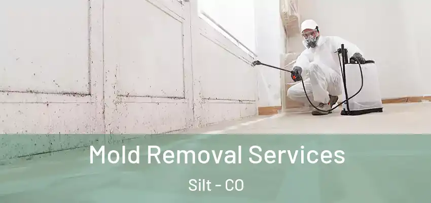  Mold Removal Services Silt - CO