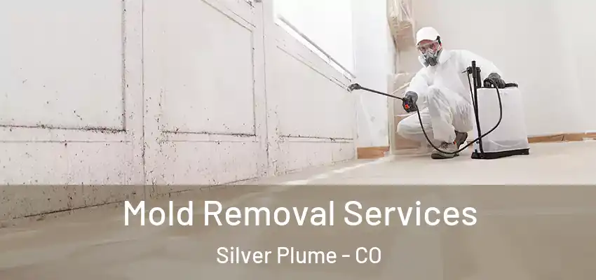  Mold Removal Services Silver Plume - CO
