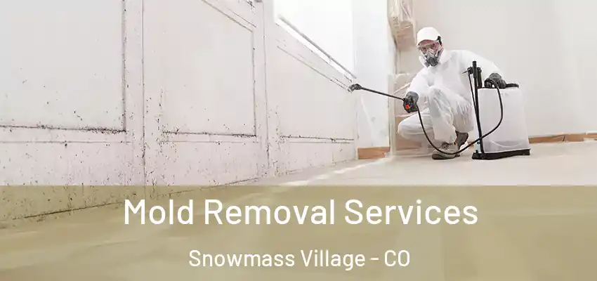 Mold Removal Services Snowmass Village - CO