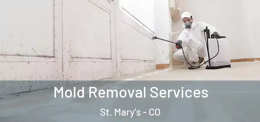  Mold Removal Services St. Mary's - CO