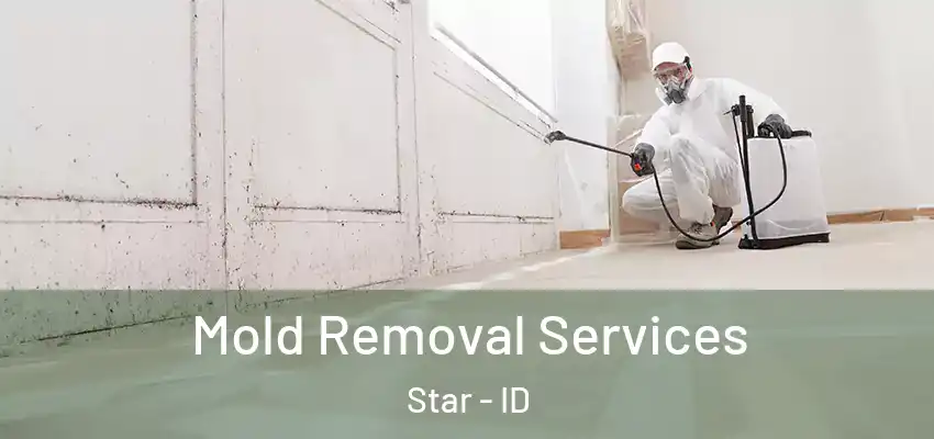 Mold Removal Services Star - ID