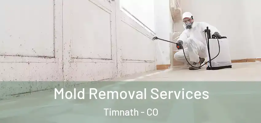  Mold Removal Services Timnath - CO