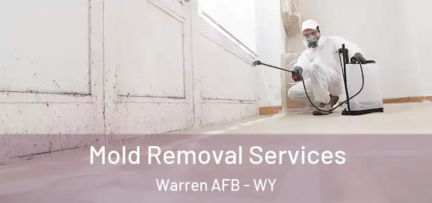 Mold Removal Services Warren AFB - WY