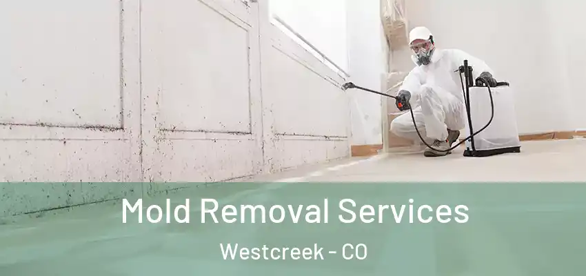  Mold Removal Services Westcreek - CO