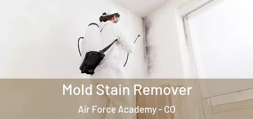Mold Stain Remover Air Force Academy - CO