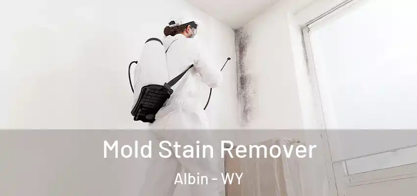  Mold Stain Remover Albin - WY