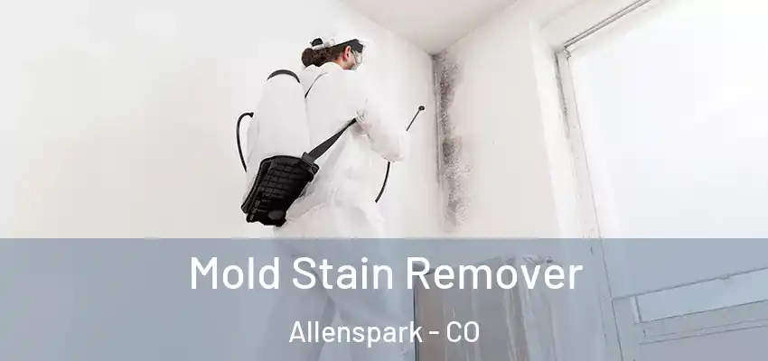  Mold Stain Remover Allenspark - CO