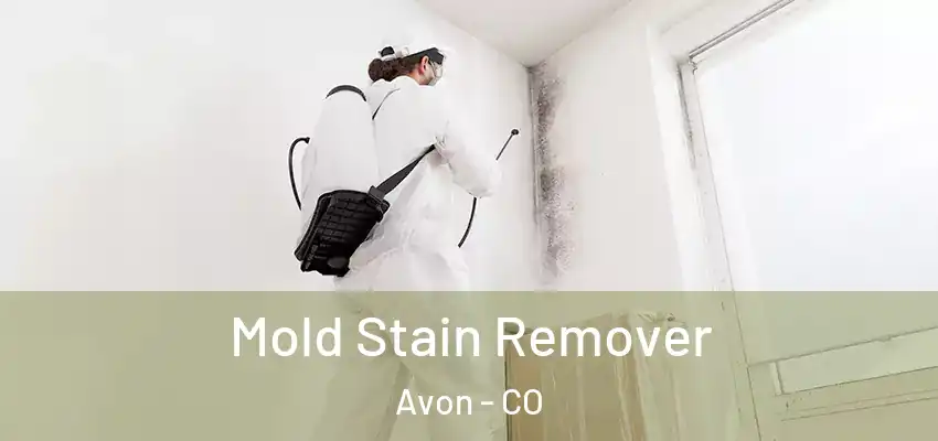 Mold Stain Remover Avon - CO