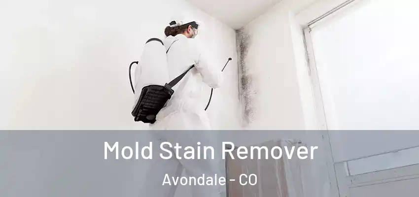  Mold Stain Remover Avondale - CO