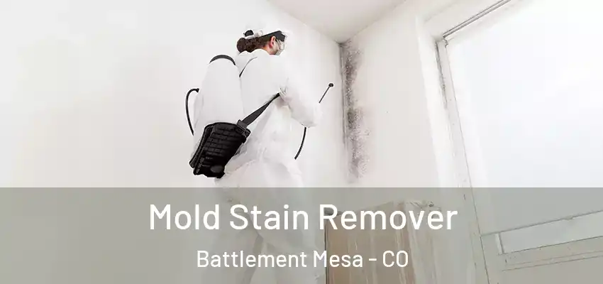  Mold Stain Remover Battlement Mesa - CO