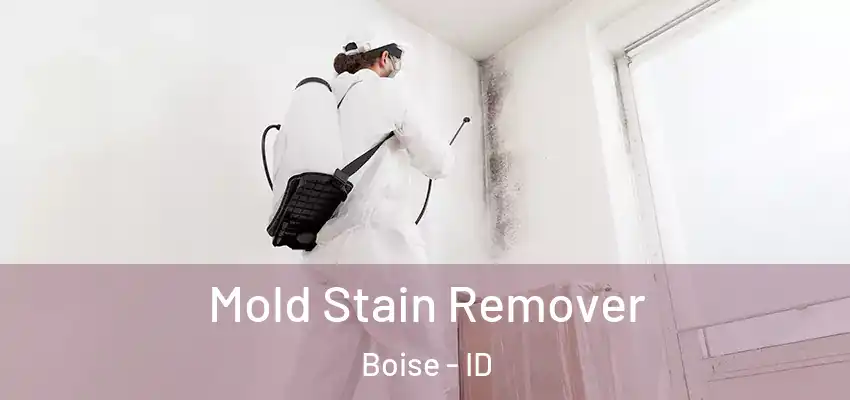 Mold Stain Remover Boise - ID
