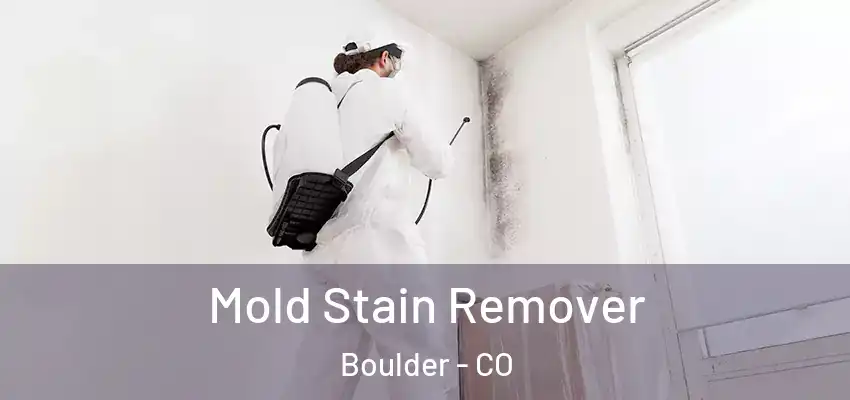  Mold Stain Remover Boulder - CO