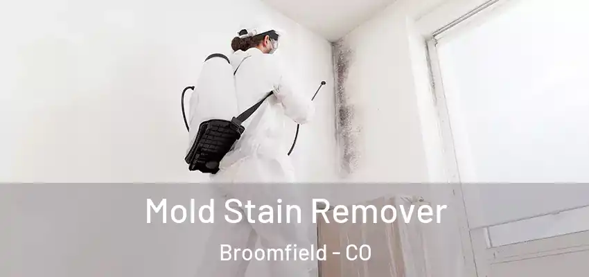  Mold Stain Remover Broomfield - CO
