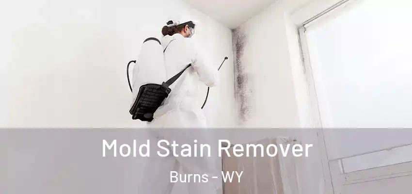  Mold Stain Remover Burns - WY