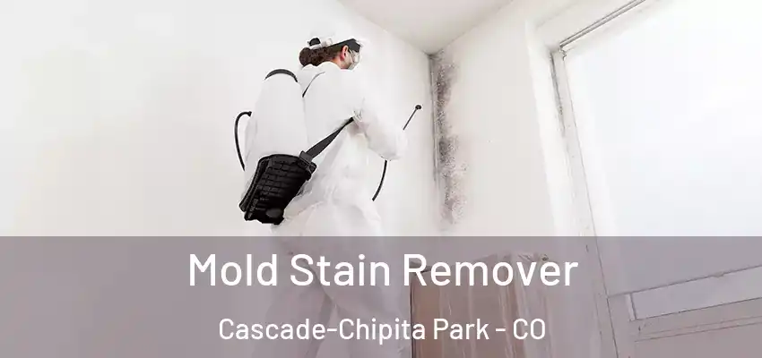  Mold Stain Remover Cascade-Chipita Park - CO