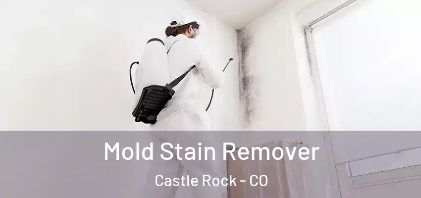  Mold Stain Remover Castle Rock - CO