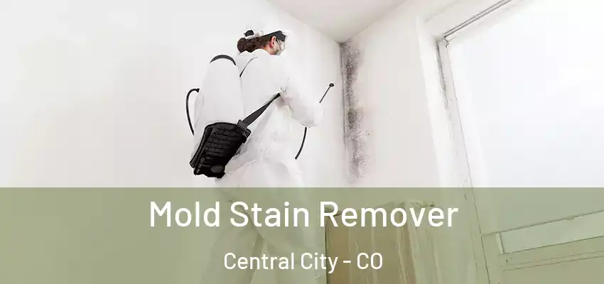  Mold Stain Remover Central City - CO