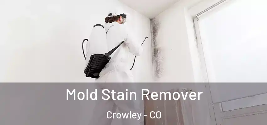 Mold Stain Remover Crowley - CO