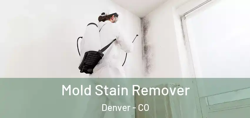 Mold Stain Remover Denver - CO