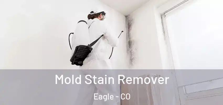  Mold Stain Remover Eagle - CO