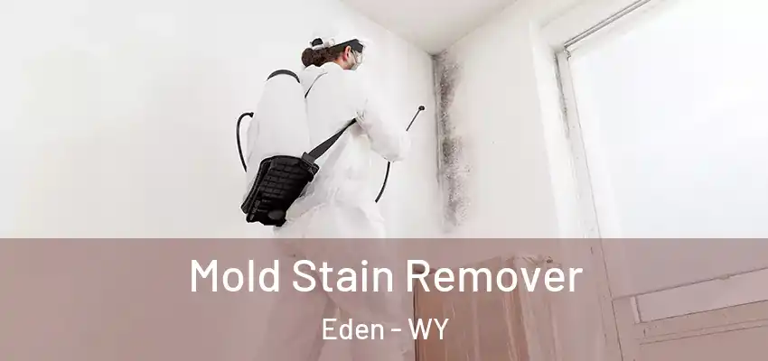  Mold Stain Remover Eden - WY