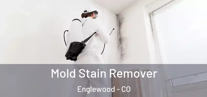Mold Stain Remover Englewood - CO
