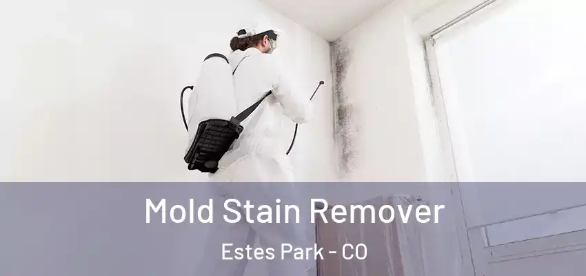  Mold Stain Remover Estes Park - CO
