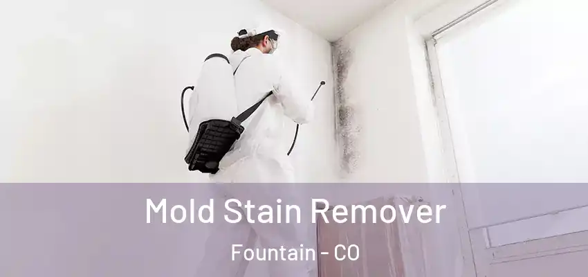 Mold Stain Remover Fountain - CO