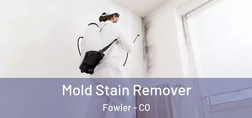 Mold Stain Remover Fowler - CO