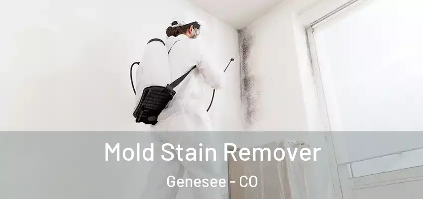  Mold Stain Remover Genesee - CO