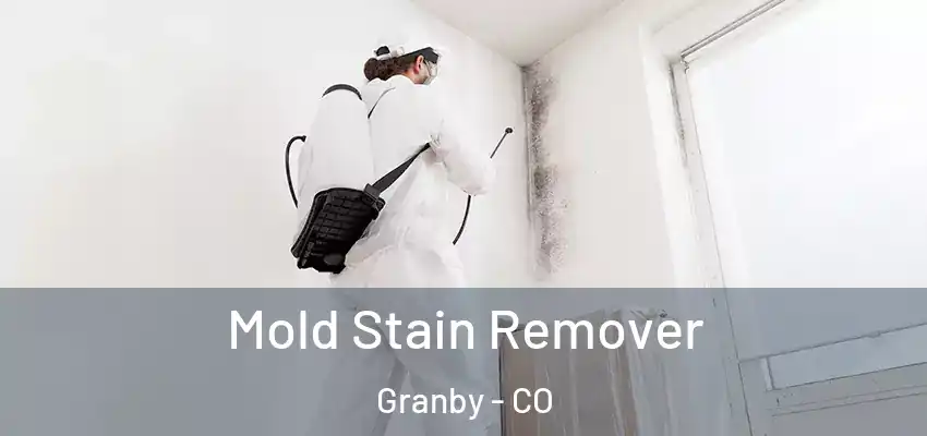 Mold Stain Remover Granby - CO