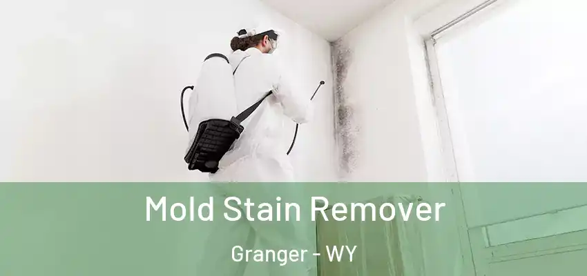 Mold Stain Remover Granger - WY