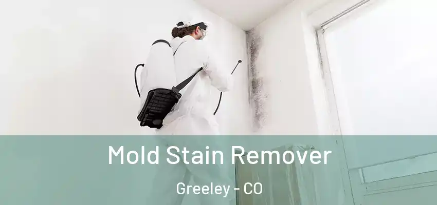 Mold Stain Remover Greeley - CO