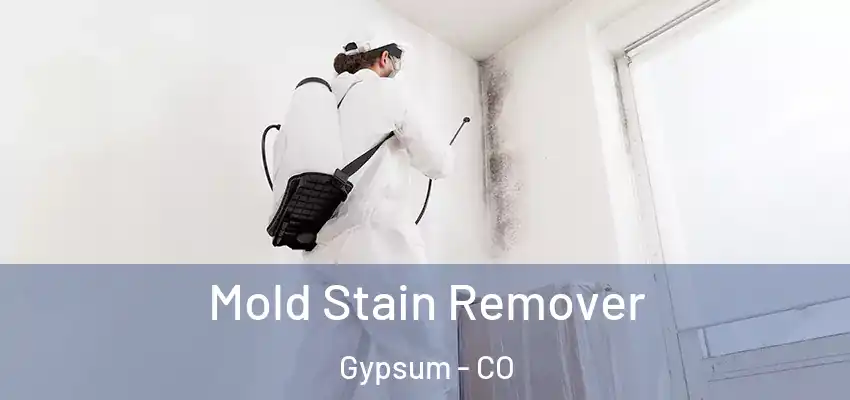 Mold Stain Remover Gypsum - CO