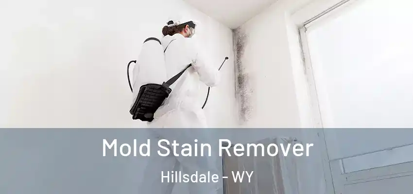  Mold Stain Remover Hillsdale - WY
