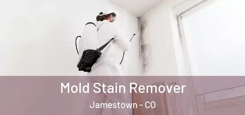 Mold Stain Remover Jamestown - CO