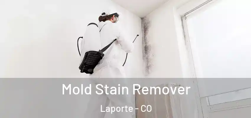  Mold Stain Remover Laporte - CO