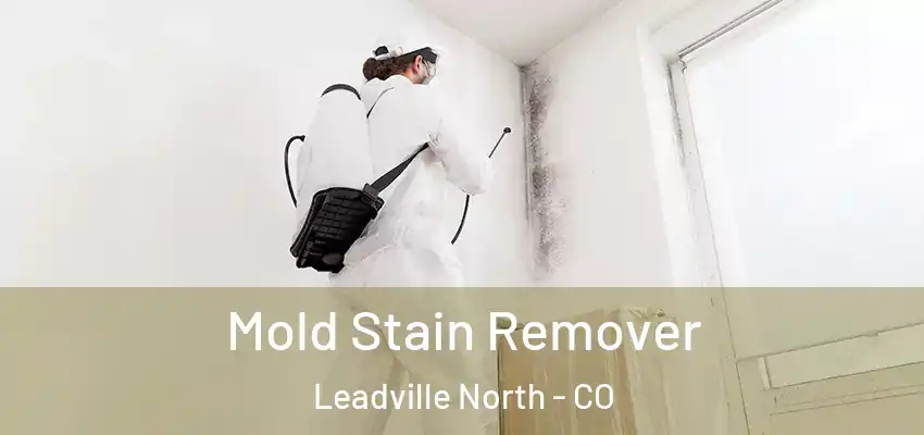  Mold Stain Remover Leadville North - CO
