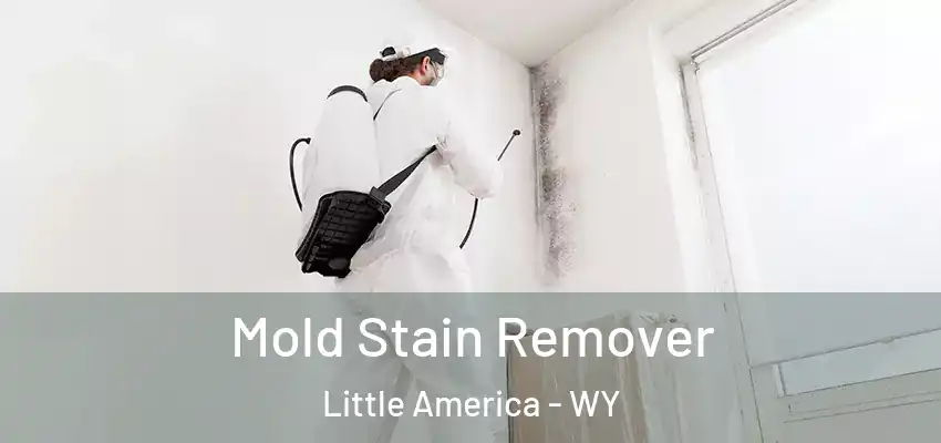  Mold Stain Remover Little America - WY