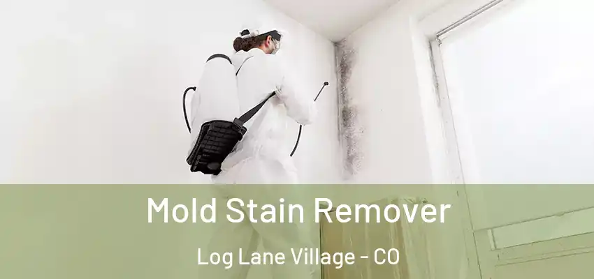  Mold Stain Remover Log Lane Village - CO
