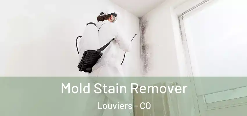  Mold Stain Remover Louviers - CO