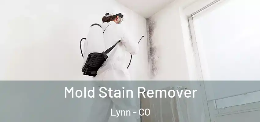 Mold Stain Remover Lynn - CO