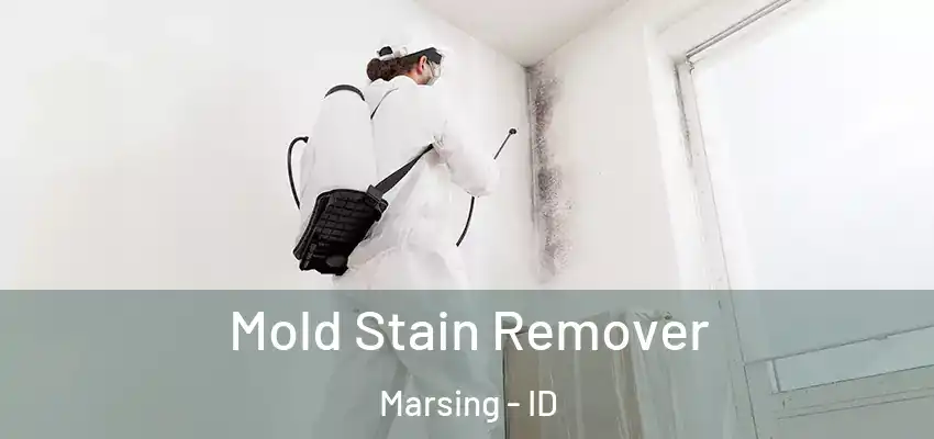  Mold Stain Remover Marsing - ID